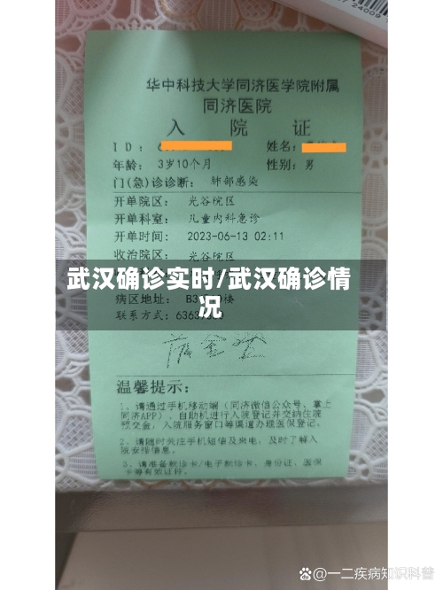 武汉确诊实时/武汉确诊情况