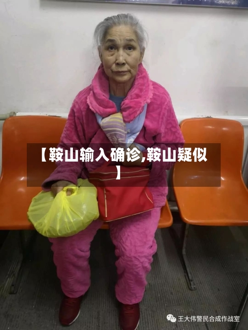 【鞍山输入确诊,鞍山疑似】