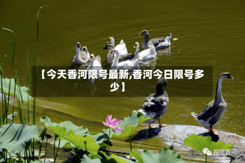 【今天香河限号最新,香河今日限号多少】-第2张图片