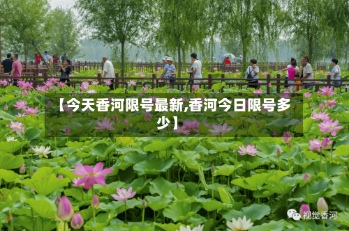 【今天香河限号最新,香河今日限号多少】