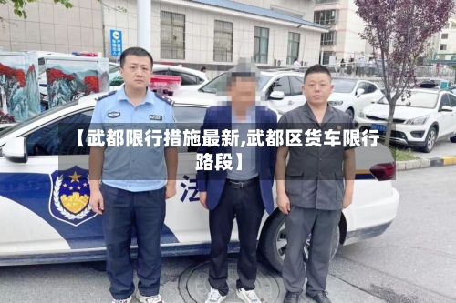 【武都限行措施最新,武都区货车限行路段】-第3张图片