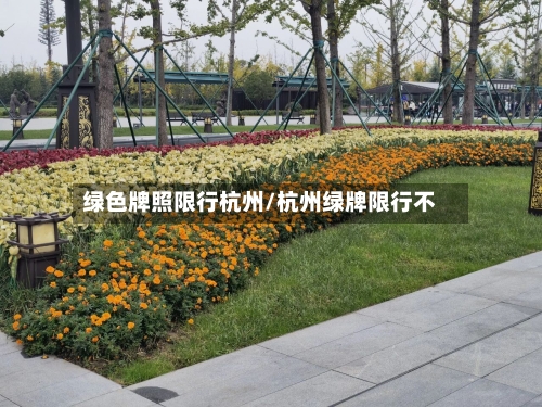 绿色牌照限行杭州/杭州绿牌限行不
