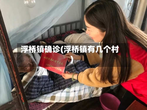 浮桥镇确诊(浮桥镇有几个村)