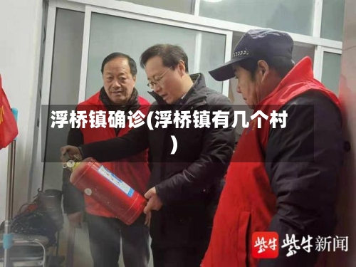 浮桥镇确诊(浮桥镇有几个村)-第2张图片