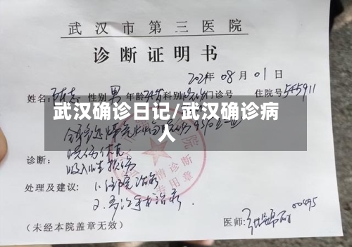 武汉确诊日记/武汉确诊病人