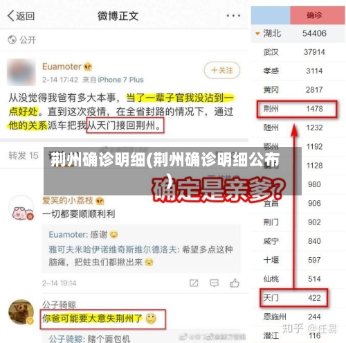 荆州确诊明细(荆州确诊明细公布)-第3张图片