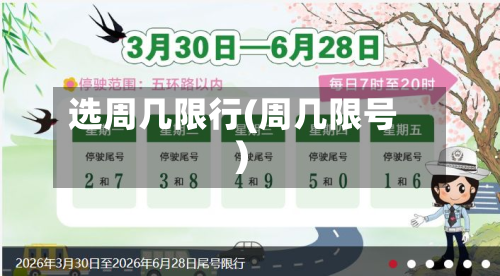 选周几限行(周几限号)