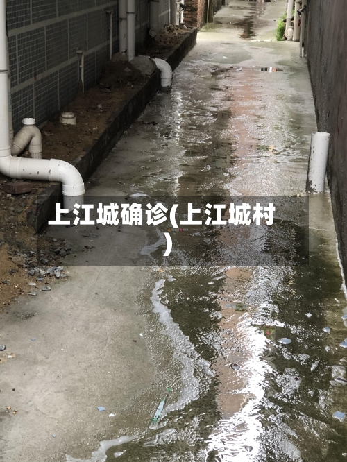 上江城确诊(上江城村)