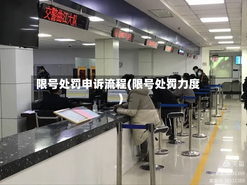 限号处罚申诉流程(限号处罚力度)-第2张图片