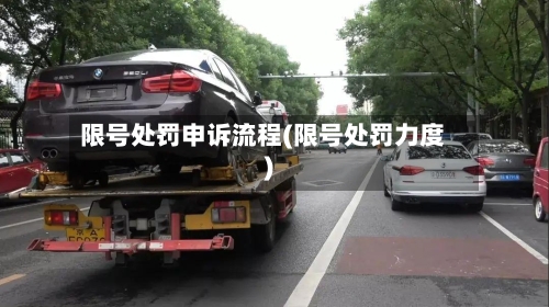 限号处罚申诉流程(限号处罚力度)