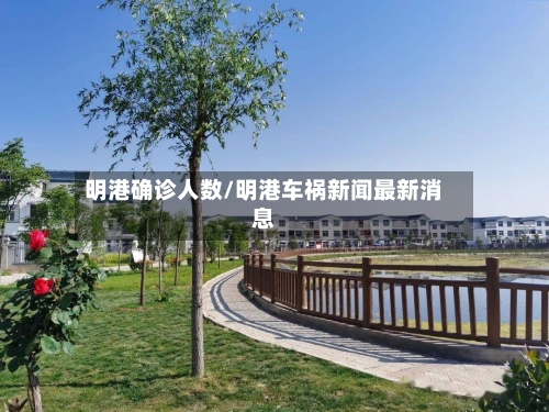 明港确诊人数/明港车祸新闻最新消息-第2张图片