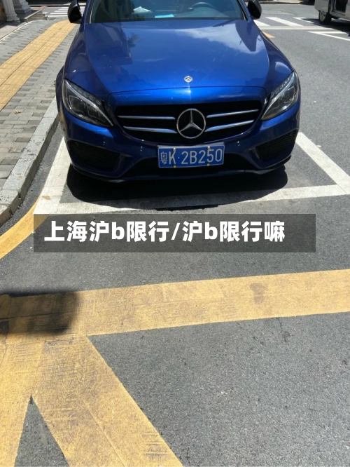 上海沪b限行/沪b限行嘛-第2张图片