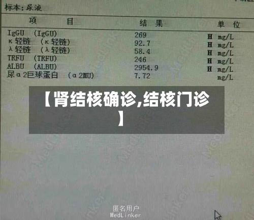 【肾结核确诊,结核门诊】