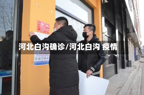 河北白沟确诊/河北白沟 疫情-第3张图片