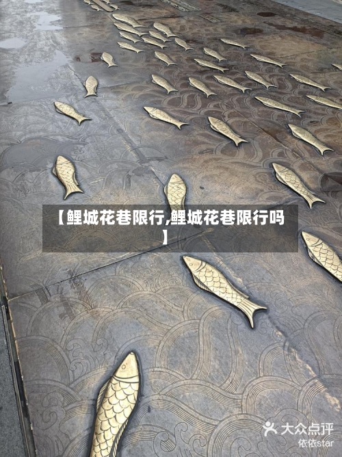 【鲤城花巷限行,鲤城花巷限行吗】