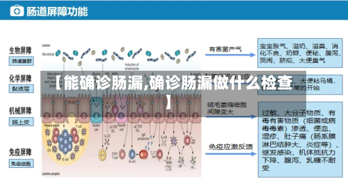 【能确诊肠漏,确诊肠漏做什么检查】-第2张图片