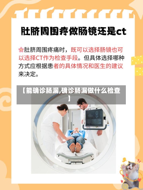 【能确诊肠漏,确诊肠漏做什么检查】