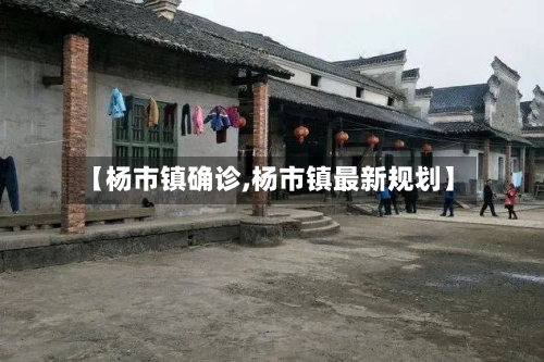 【杨市镇确诊,杨市镇最新规划】-第2张图片