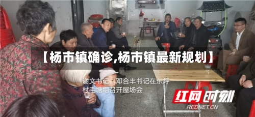 【杨市镇确诊,杨市镇最新规划】
