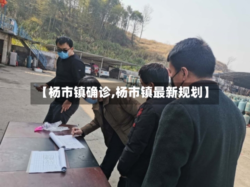 【杨市镇确诊,杨市镇最新规划】-第3张图片