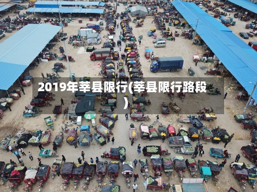 2019年莘县限行(莘县限行路段)