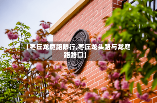 【枣庄龙庭路限行,枣庄龙头路与龙庭路路口】-第3张图片