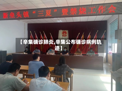 【辛集确诊肺炎,辛集公布确诊病例轨迹】-第2张图片