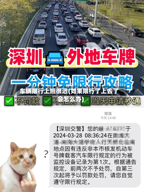 车辆限行上班很远(如果限行了上去了会怎么办)-第2张图片