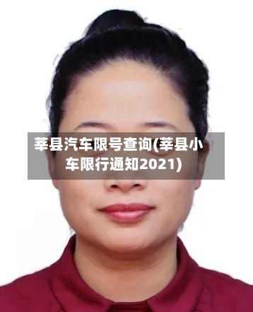 莘县汽车限号查询(莘县小车限行通知2021)