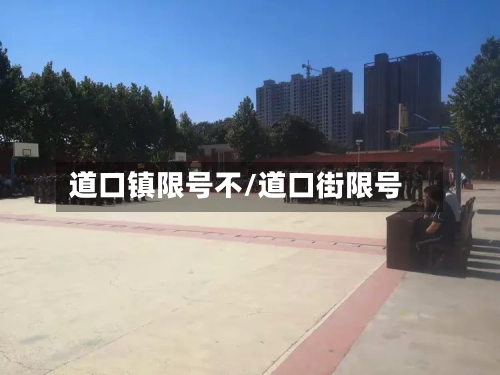 道口镇限号不/道口街限号