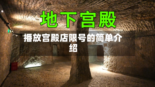 播放宫殿店限号的简单介绍-第2张图片