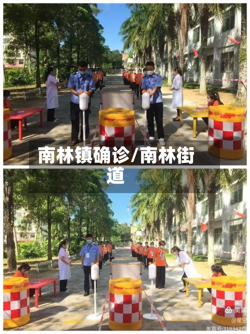 南林镇确诊/南林街道