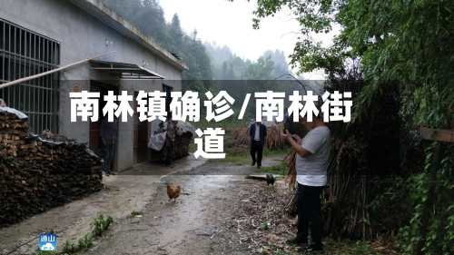 南林镇确诊/南林街道-第3张图片