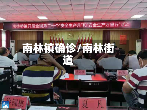 南林镇确诊/南林街道-第2张图片