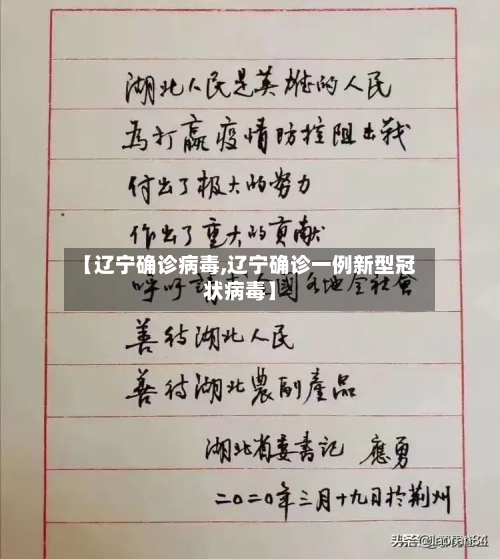 【辽宁确诊病毒,辽宁确诊一例新型冠状病毒】