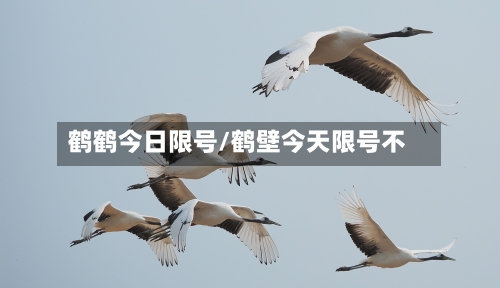 鹤鹤今日限号/鹤壁今天限号不-第3张图片