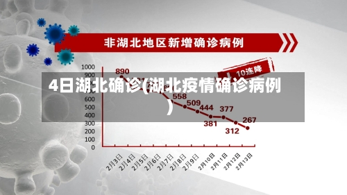 4日湖北确诊(湖北疫情确诊病例)-第2张图片
