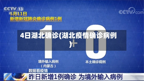 4日湖北确诊(湖北疫情确诊病例)
