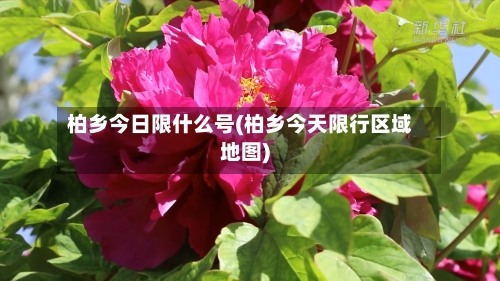 柏乡今日限什么号(柏乡今天限行区域地图)