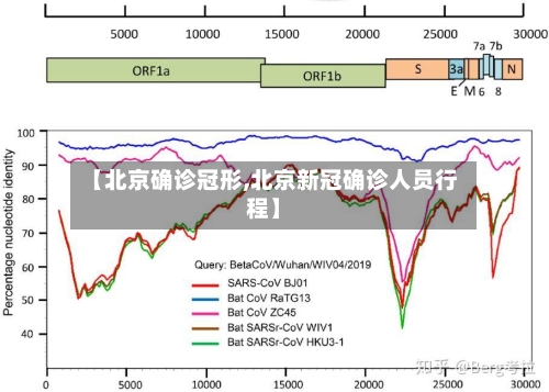 【北京确诊冠形,北京新冠确诊人员行程】-第2张图片