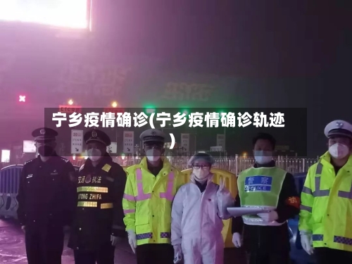 宁乡疫情确诊(宁乡疫情确诊轨迹)-第3张图片