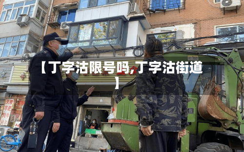 【丁字沽限号吗,丁字沽街道】