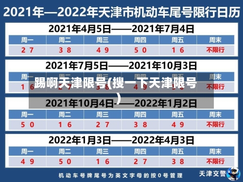 踢啊天津限号(搜一下天津限号)-第2张图片