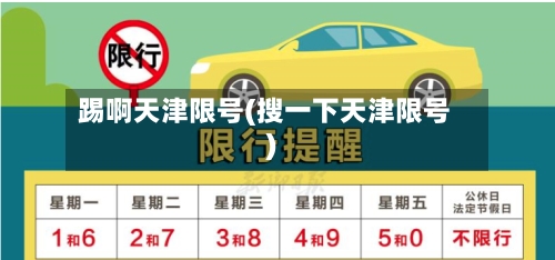 踢啊天津限号(搜一下天津限号)-第3张图片