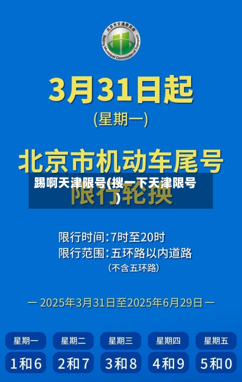 踢啊天津限号(搜一下天津限号)