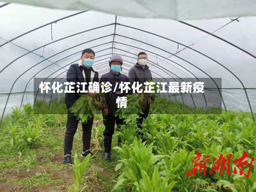 怀化芷江确诊/怀化芷江最新疫情