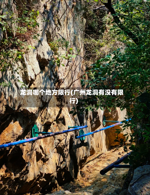龙洞哪个地方限行(广州龙洞有没有限行)-第2张图片