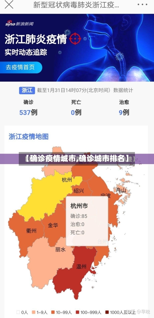 【确诊疫情城市,确诊城市排名】