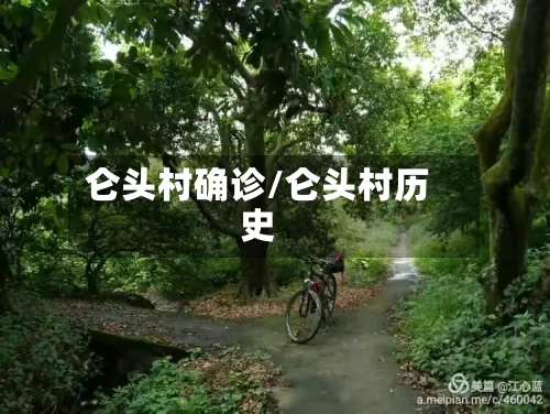 仑头村确诊/仑头村历史