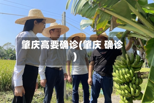 肇庆高要确诊(肇庆 确诊)-第2张图片